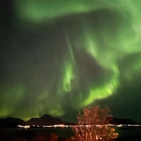 Lofotenholidays, Luxury With Panoramic View Leknes